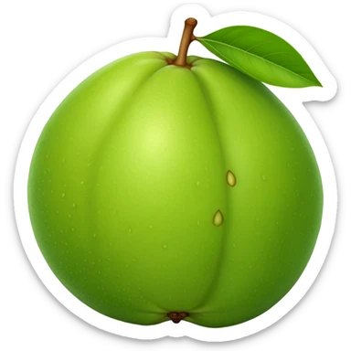 A whole green guava fruit with slight yellow tint sticker