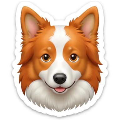 fluffy orange border collie dog with white chest sticker