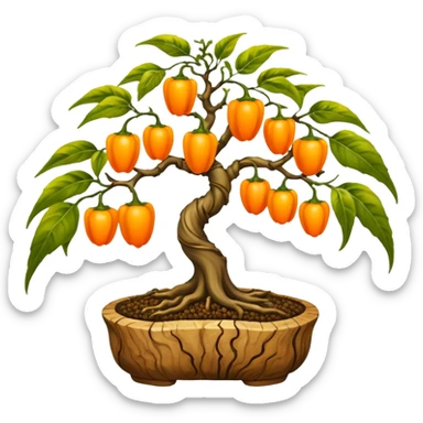Very Large decorative gnarled bonsai pepper plant with minuscule y round orange-yellow peppers on it  sticker