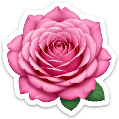 Polaroid photo of a pink rose  sticker