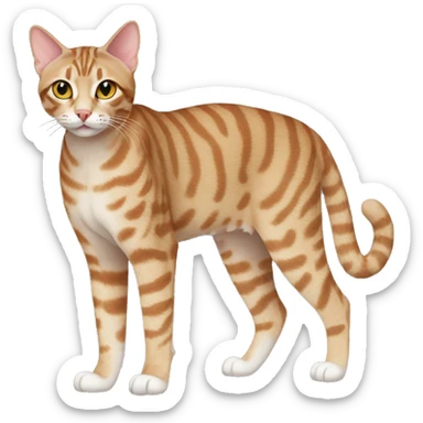 Ocicat Cat Full Body sticker