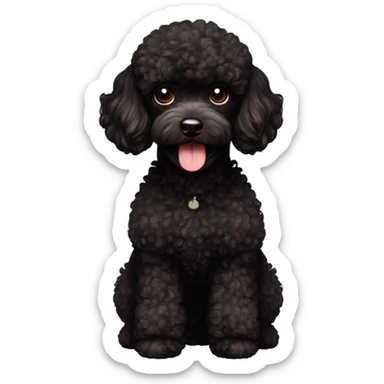 black toy poodle with brown points sticker