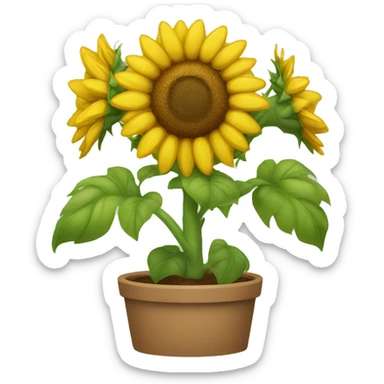 Girasole sticker