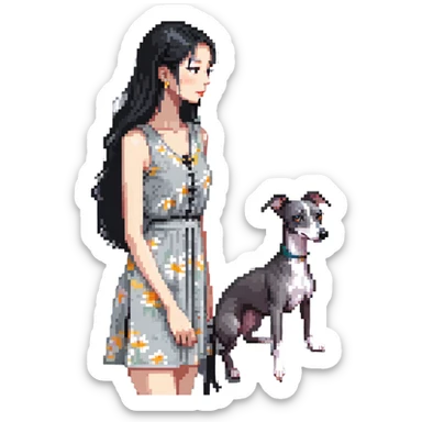Slim Chinese woman with long black hair in a cute summer outfit with her completely solid grey Italian greyhound looking out a window on a sunny day, the dog has absolutely no white markings anywhere sticker