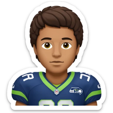 NFL Seahawks sticker