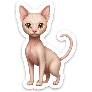 hairless cat full body standing sticker