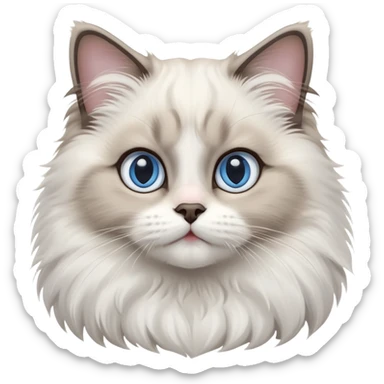 cinematic-adorable-big-eyed-fluffy-ragdoll-cat-portrait-emoji,-head-tilted-playfully-with-a-sweet-expression,-fluffy-white and grey-fur,-simplified-yet-irresistibly-cute-features-with-large,-expression, blue eyed ragdoll cat sticker
