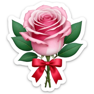 One pink rose and one white rose in transparent bouquet with red band  sticker