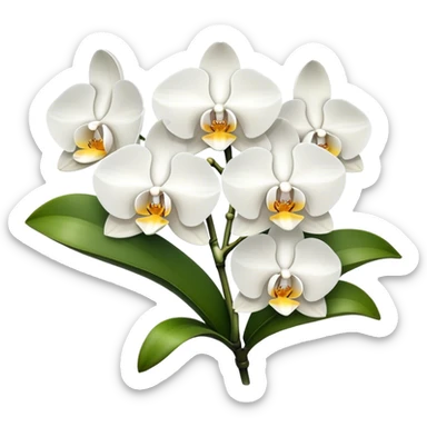 orchids sticker