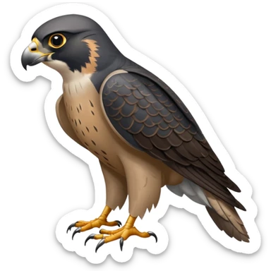 Peregrine Falcon sticker