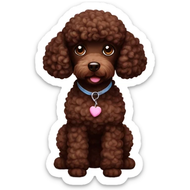Chocolate poodle sticker