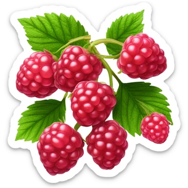 raspberry sticker
