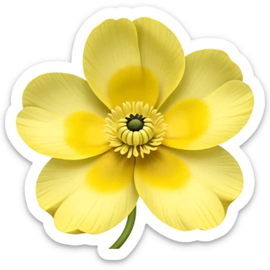 five leaved yellow anemone göz ağız sticker