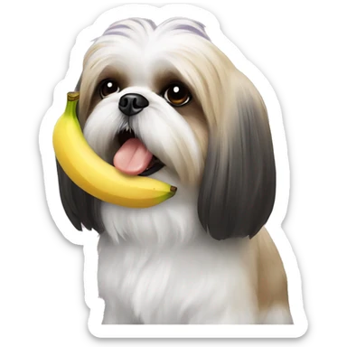 Shih tzu with a banana in his mouth sticker