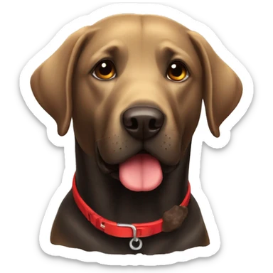A black dog labrador with a red collar next to poo sticker