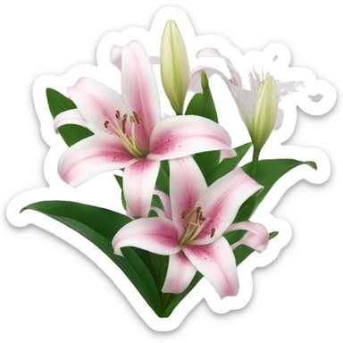 pink and white lilies sticker