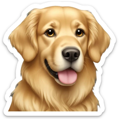 Girl golden retriever  sticker