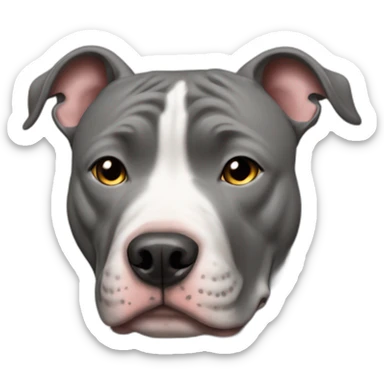 pitbull dog grey in love sticker