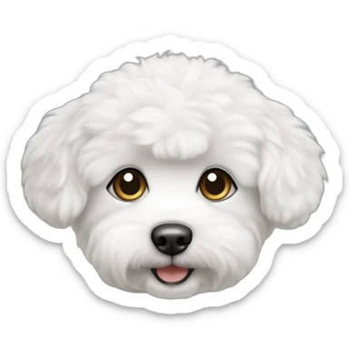 bichon frise puppy dog, white fur sticker