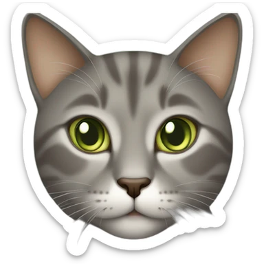 a brown-gray cat with light green eyes and the inscription "When is coffee?" sticker