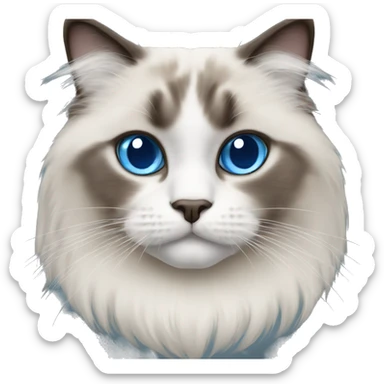Ragdoll cat with blue eyes sticker