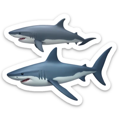 Shark whale sticker