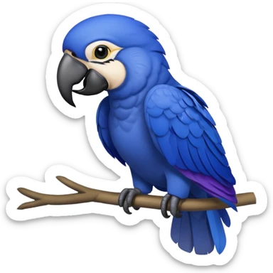 Hyacinth macaw sticker