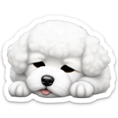 White little Bichon Frize sleeping  sticker