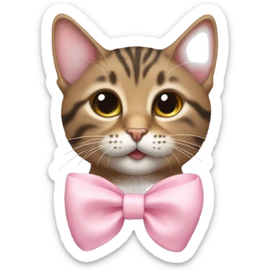 tabby cat with baby pink bow  sticker
