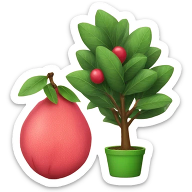 Guava next to a Christmas tree sticker