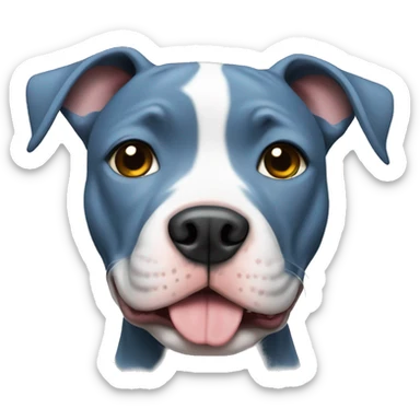 Cute blue pitbull with white chest sticker