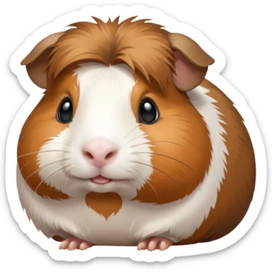 Guinea pig sticker