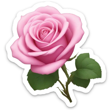 Pink rose sticker