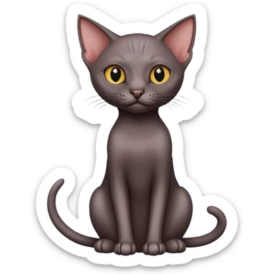 Dark hairless cat sitting sticker