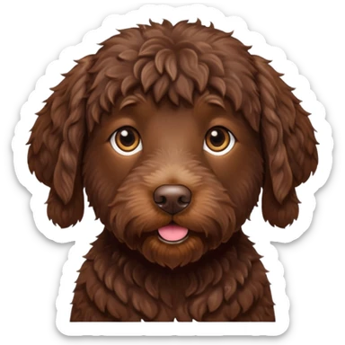Chocolate labradoodle sticker