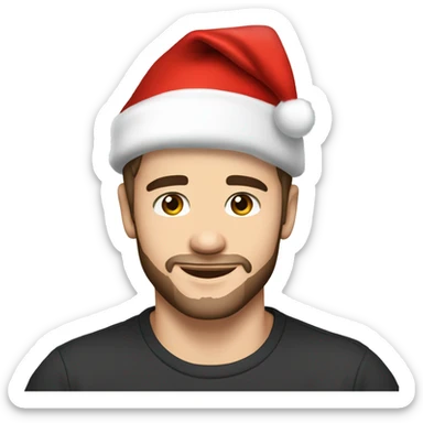 Liam Payne wearing santa hat sticker