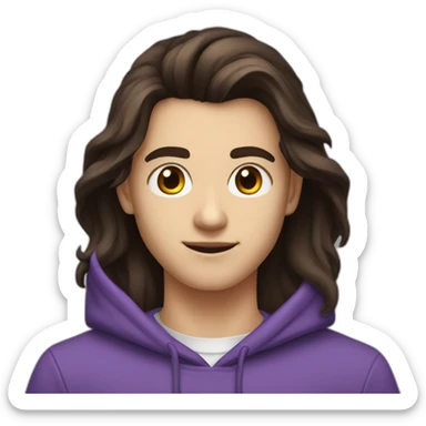 Kirill-dark-hair-programmer-16-yo-violet-hoodie-brown-eyes sticker