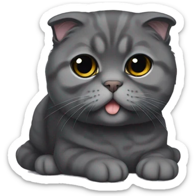 dark gray Scottish fold sticker