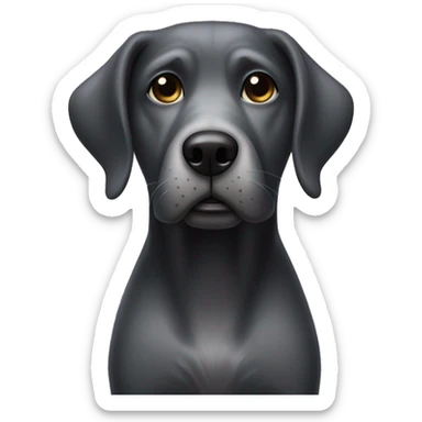 Black laborador dog with greying hairs on face being very concerned about her human mom sticker