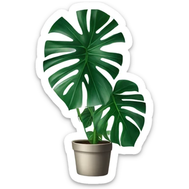 monstera plant sticker