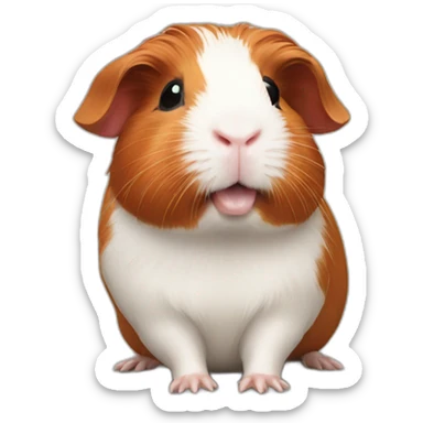 Guinea pig red sticker