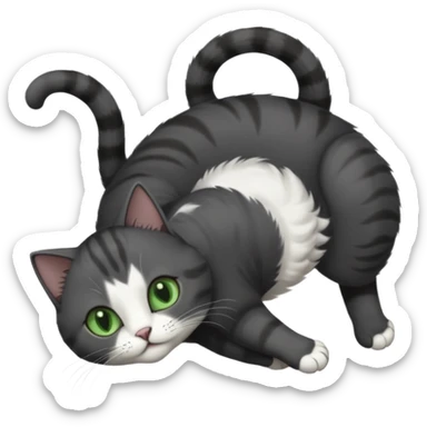 solid dark grey cat with green eyes, white toes/paws and white patch on her chest playfully rolling upside down sticker