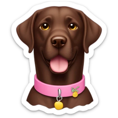 Labrador chocolate con collar rosa sticker