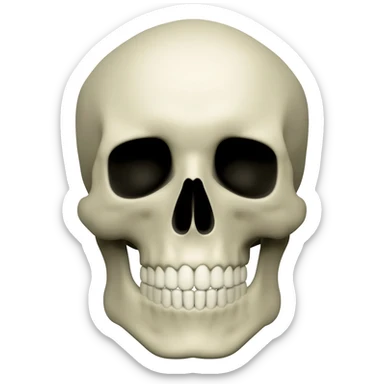 Skull face sticker