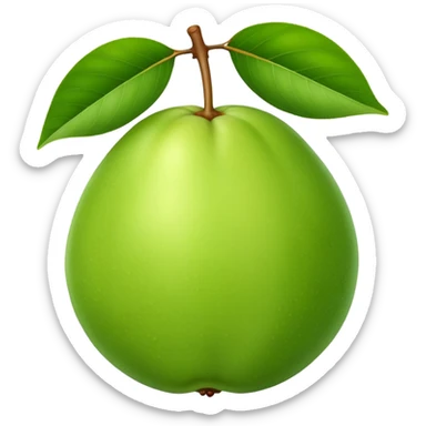 A whole green guava fruit with slight yellow tint sticker
