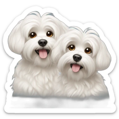 Two Malteses dogs sticker