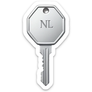 small silver metal key with hexagonal head and the word NATIONAL engraved, clean lines, soft silver tone, minimalistic and precise sticker