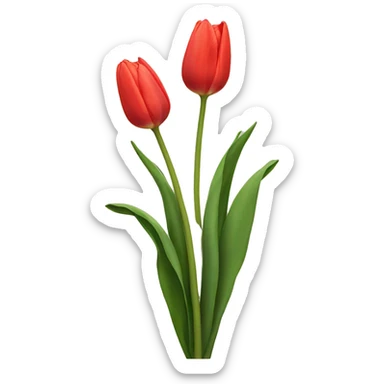 Tulips  sticker