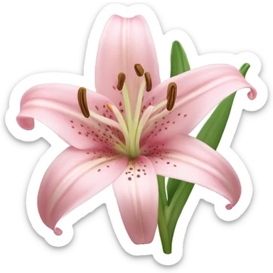 light pink lilium sticker