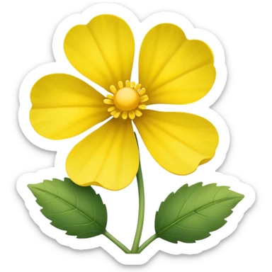 Canola sticker